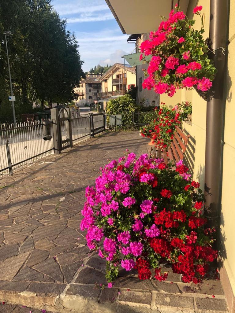 Appartamento Luminoso, Giardino, Vista Dolomiti. Baselga di Pinè Buitenkant foto